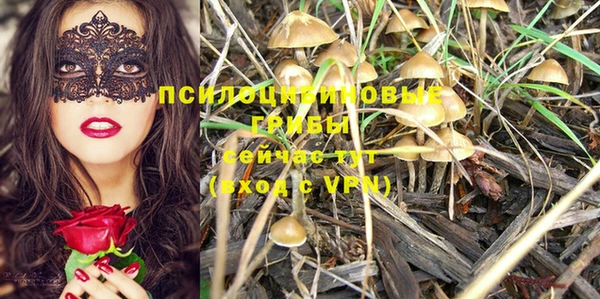 синтетический гашиш Белокуриха