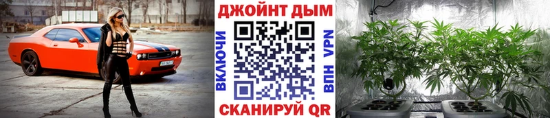Марихуана SATIVA & INDICA Павловск
